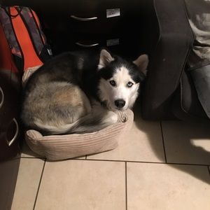 Meet your Posher, Alejandra